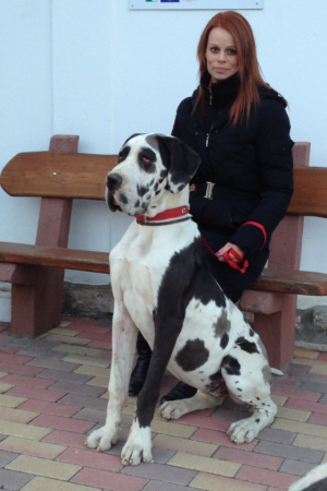 Delling 8 hónaposan 